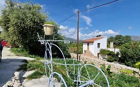 Stefanos Garden3